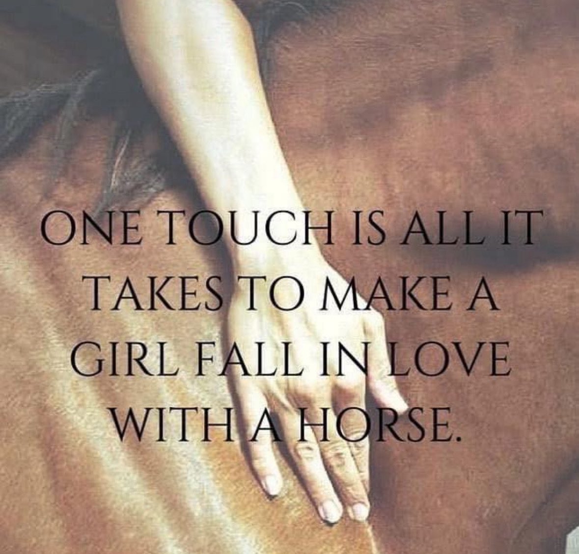 Statelinetack.com (@statelinetack) on Twitter photo 