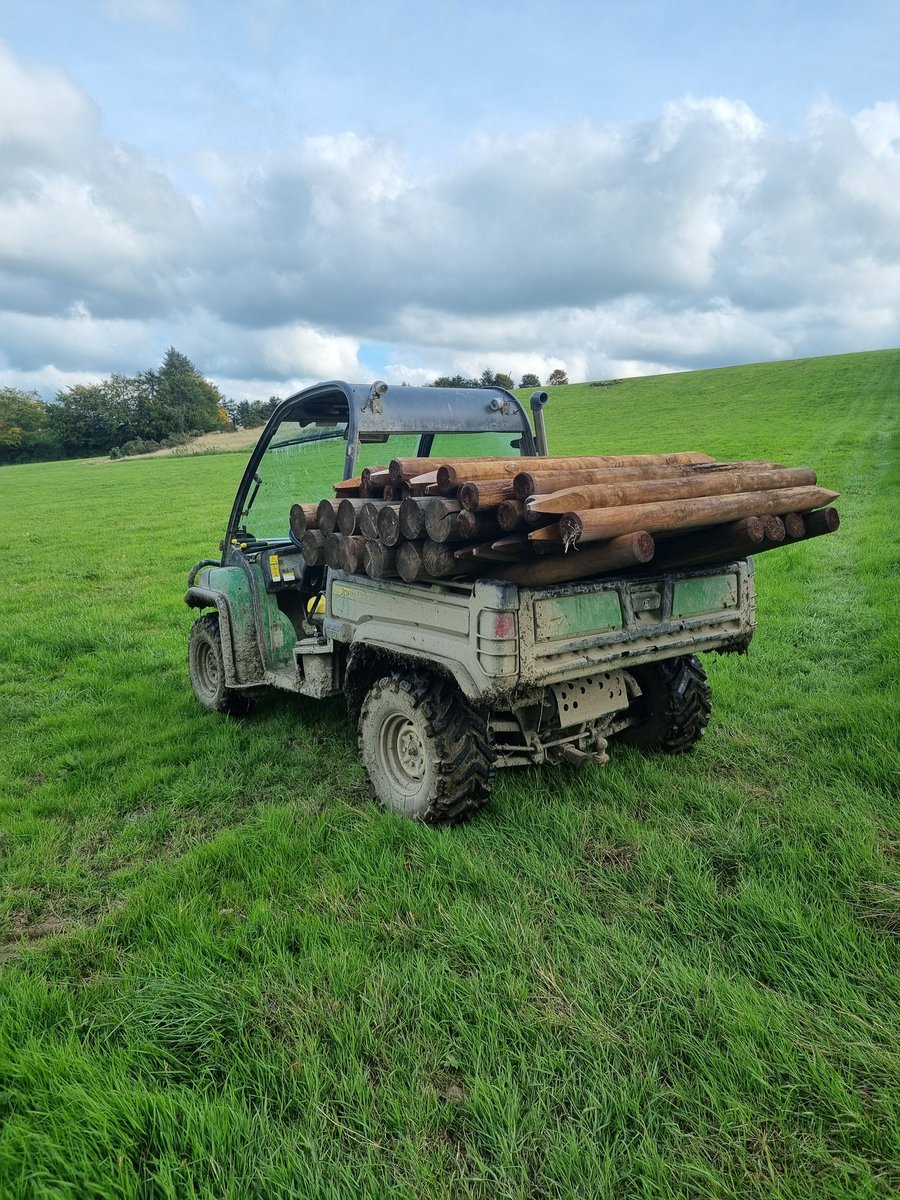 Bryan Daniels tweet media