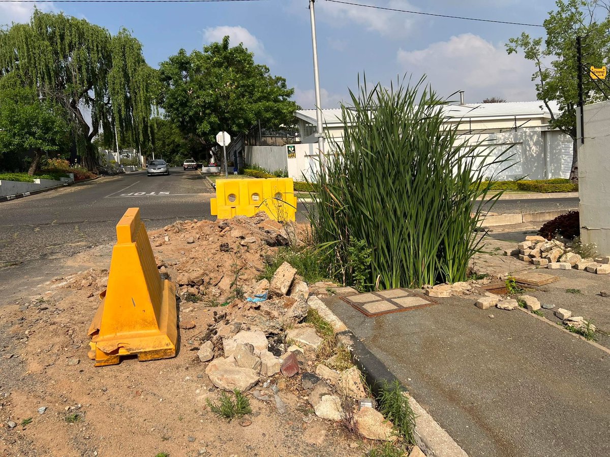 This is what happens when <a href="/JHBWater/">Johannesburg Water</a> <a href="/MyJRA/">Joburg Roads Agency</a> <a href="/CityofJoburgZA/">City of Joburg</a> <a href="/DadaMorero/">Executive Mayor of the City Of Joburg</a> fail in service delivery- the trench has been open for over a year and a wetland is now created - corner 18th street &amp; 3rd Ave Parkhurst <a href="/jozi117/">Tim</a> <a href="/helenzille/">Helen Zille</a>