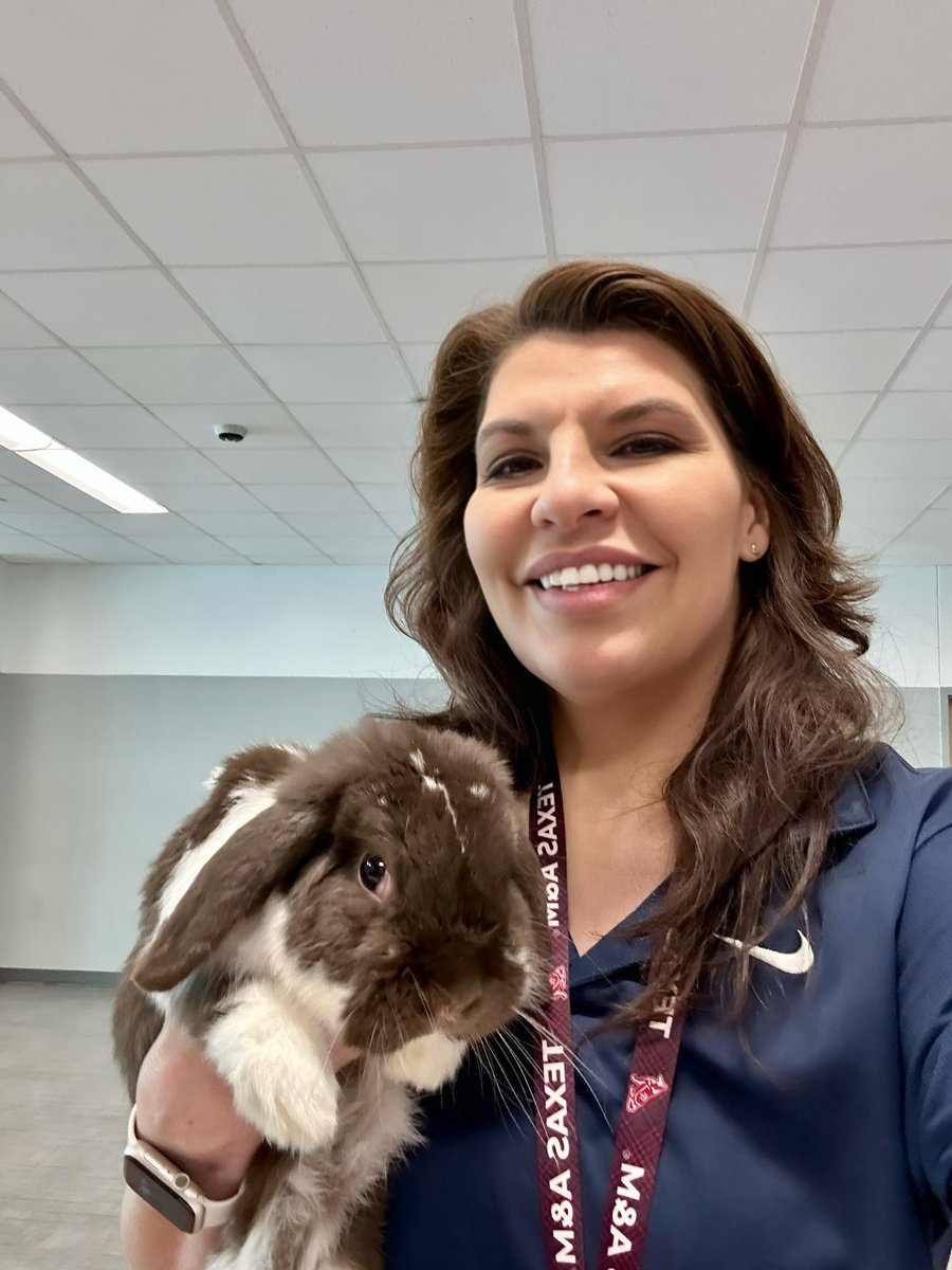 ap_jcuellar's tweet image. We have Tigers AND Rabbits!! 🐇💙🤍 Proud of our FFA kids showing off their hard work and Tiger Pride! #TigerPride #FFA