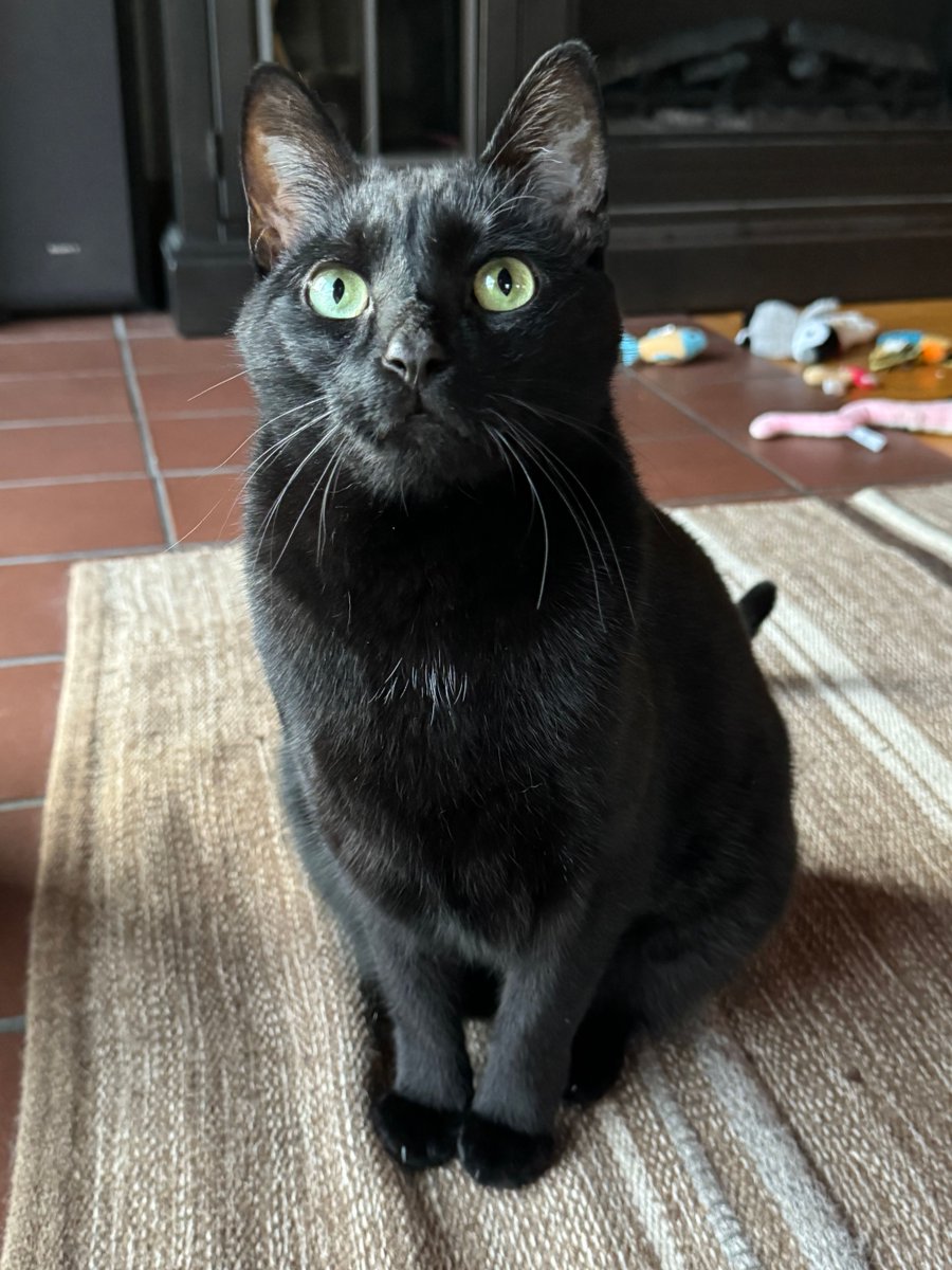 Nate Piekos of Blambot tweet media