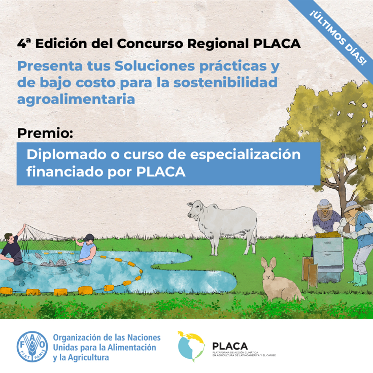 🚨 ¡Últimos días!

El Concurso Regional #PLACA2025 cierra el 28 de septiembre ⏳

🏆 Las iniciativas ganadoras recibirán un diplomado o curso de especialización financiado por PLACA.

🔗 Postula aquí: bit.ly/3V7OCEp