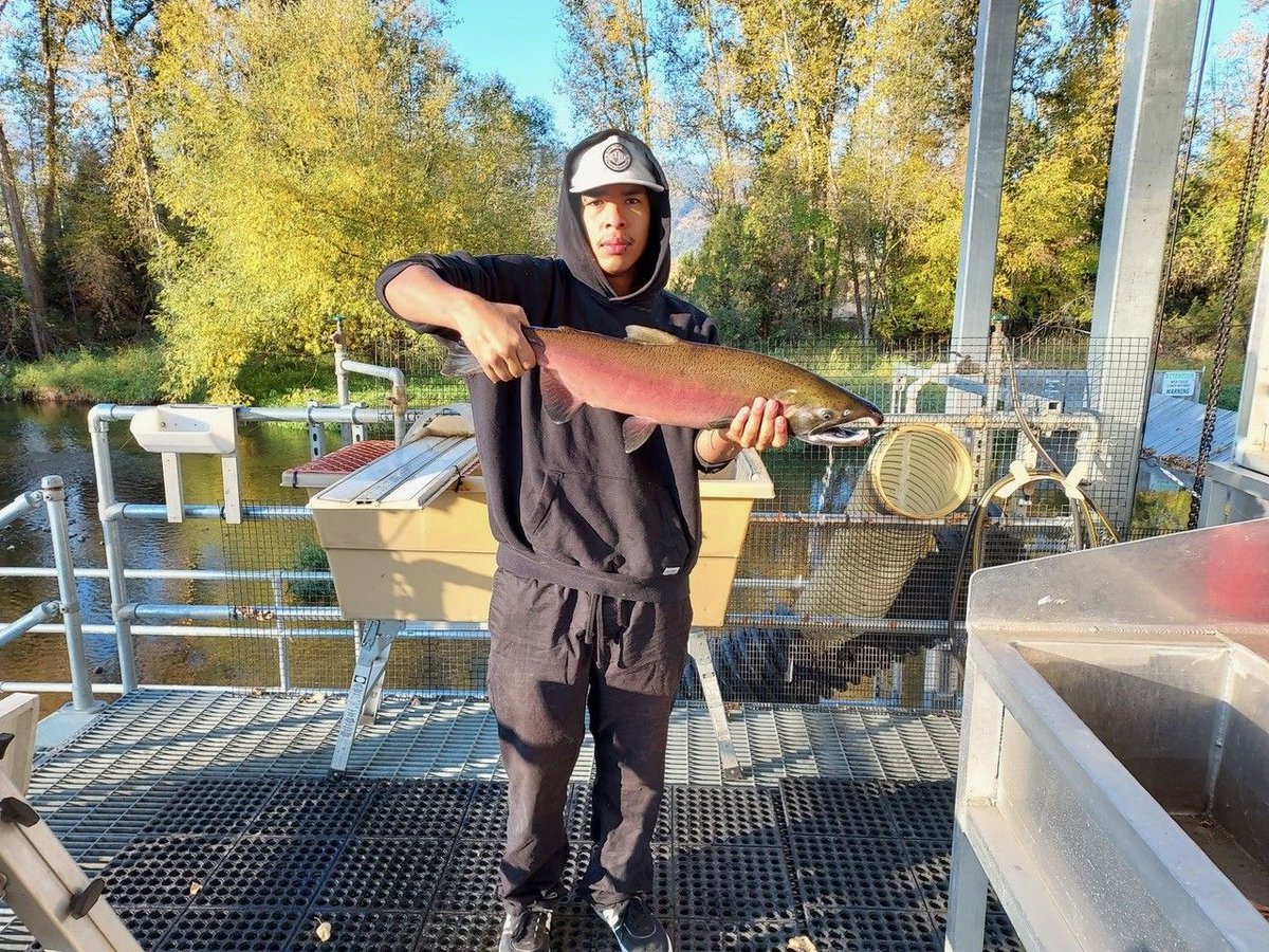 🎧 Listen to People of the Salmon by Jane Fritz and Justin Lantrip! People of the Salmon explores the Nez Perce Tribe’s historical, cultural and spiritual connection to the five species of ocean-going salmon in the Columbia River system. Hear the story at mythweaver.org