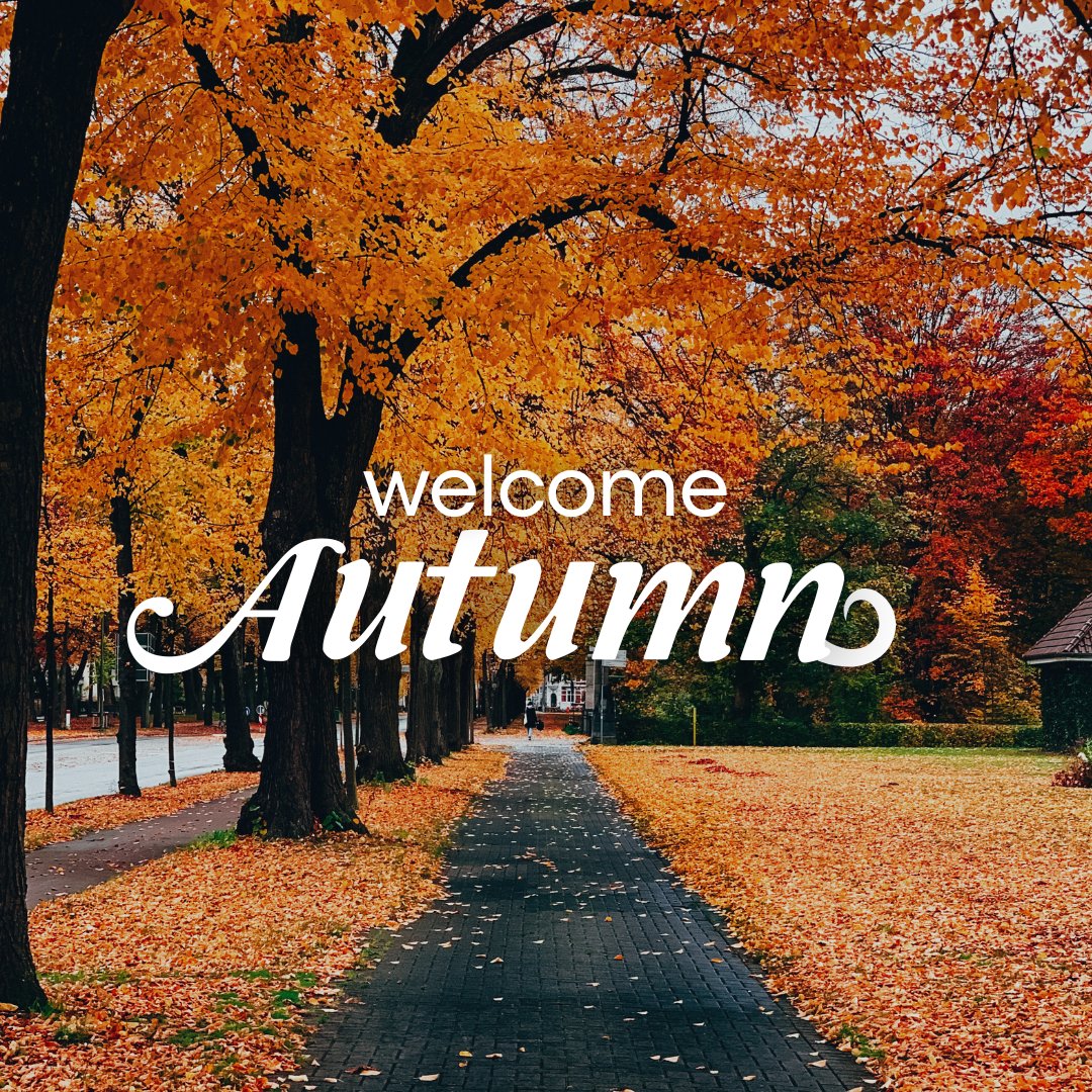 3KLLCMillwork's tweet photo. Leaves are falling, and so are our stress levels. 🍁🧘‍♀️ Welcome a season of calm, reflection, and warm drinks. Happy autumn, everyone! #WelcomeAutumn #SeasonalShift https://t.co/g9peSq81jo