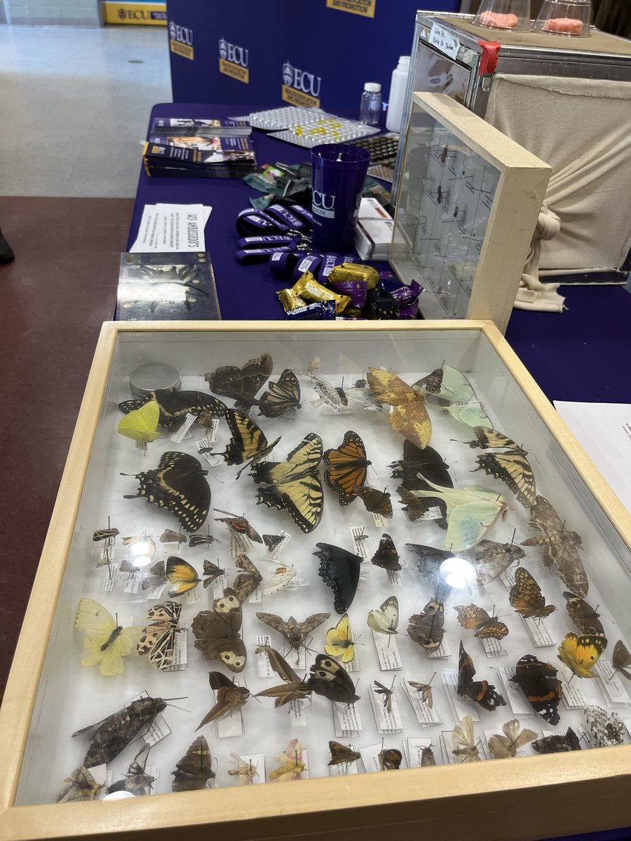 We are celebrating World Environmental Health Day today to promote the importance of #EnvironmentalHealth in our lives. #WEHD2025 #ECUEnvironmentalHealth