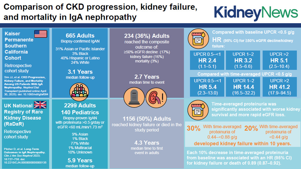 Immunoglobulin A nephropathy (IgAN) research is evolving fast, but identifying factors that predict progression is high priority. In this month's #ASNKidneyNews, authors review a recent study which examined a diverse patient population with IgAN. Kidney.pub/KN1709-11