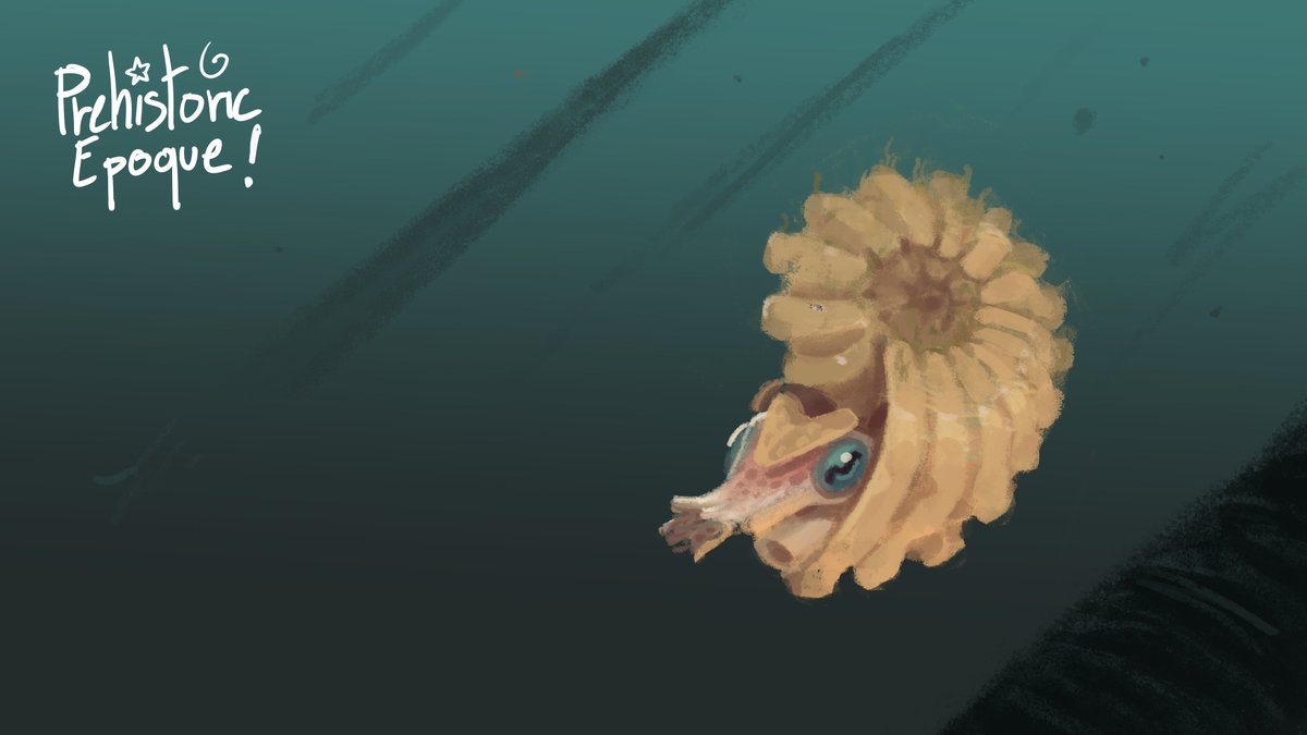 Capi974's tweet image. 