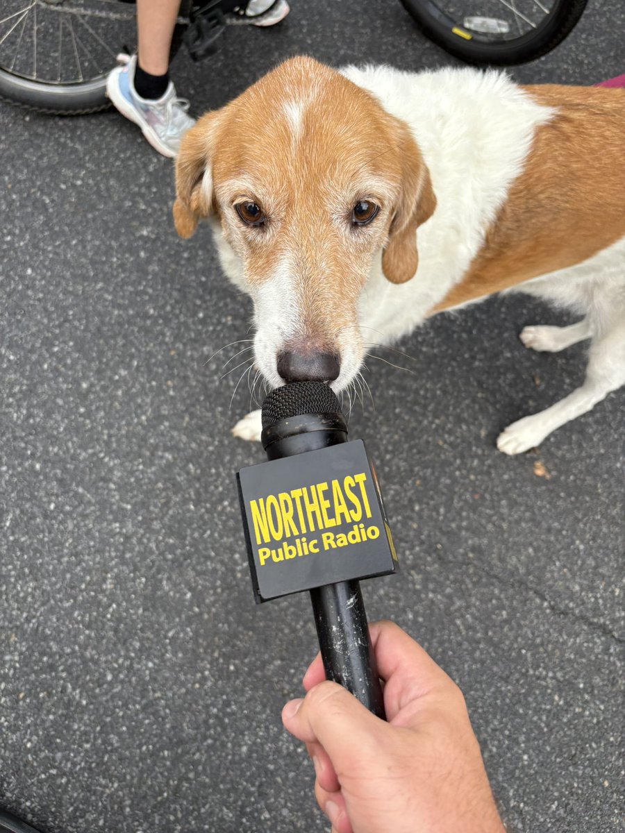 “No comment” 

— 11-year-old Anonymous (I can’t remember her name)