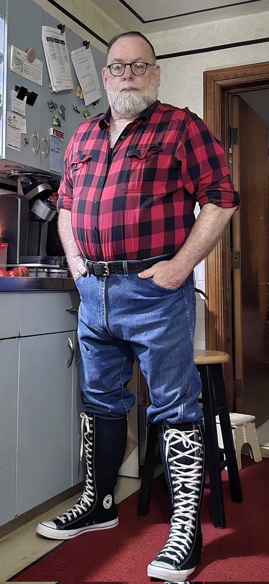 allamericanbear tweet media