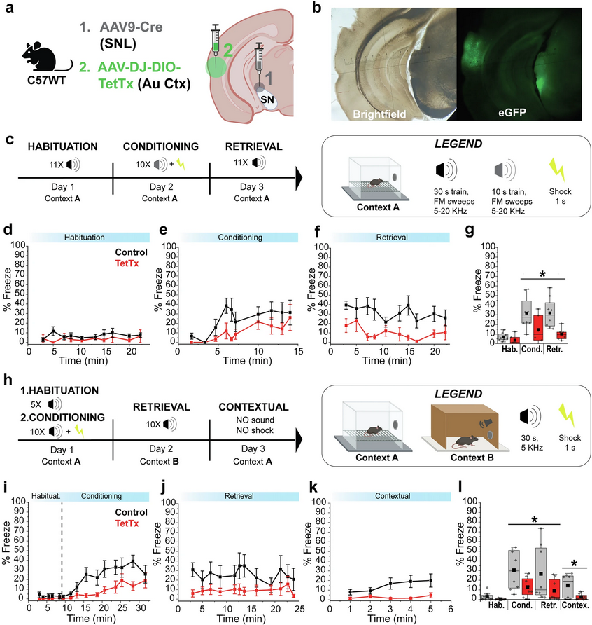 The Science of Parkinson's tweet media