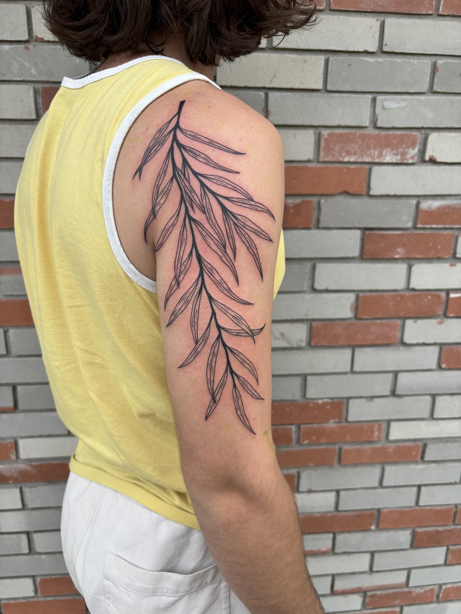 Monica🦷 tweet media