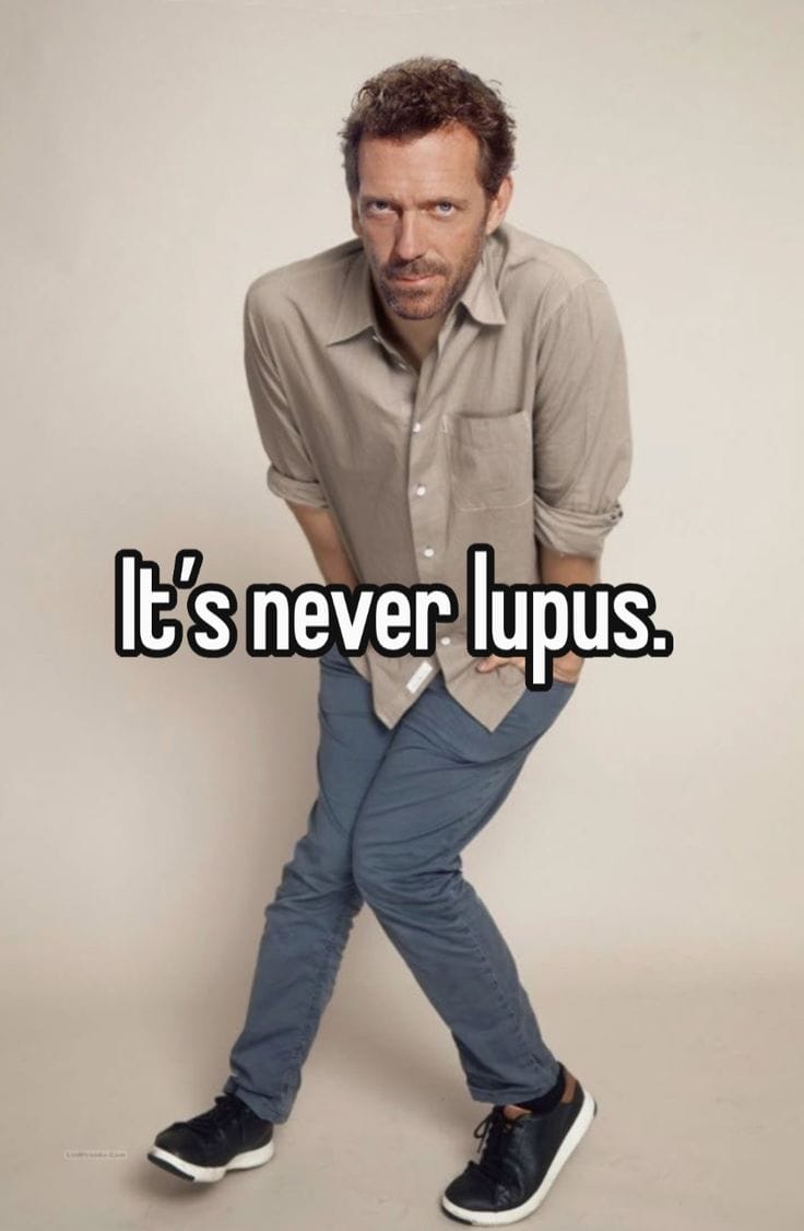 ddmodango's tweet image. 