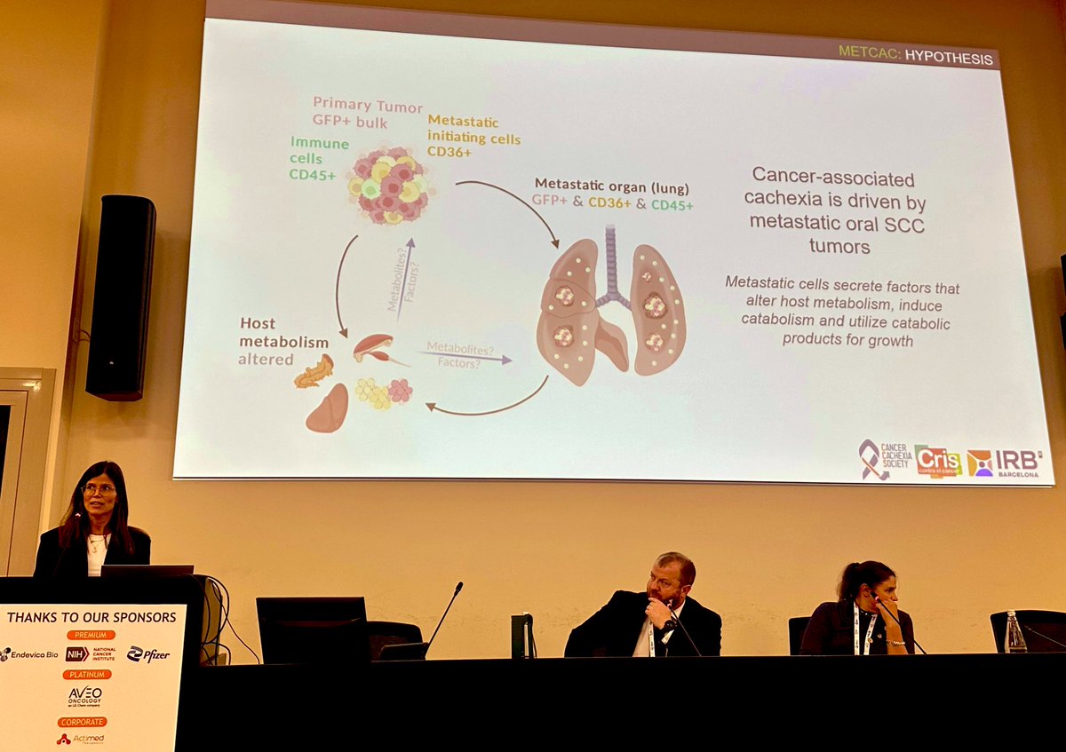 MajemCavalle's tweet image. Today presenting Next Generation scientist short talk and poster at  the 8th CCS @CancerCachexia Conference @criscancer @IRBBarcelona THE DAY of the #CancerCachexiaAwarenessDay for more progress to come! Cheers 🥂!!!