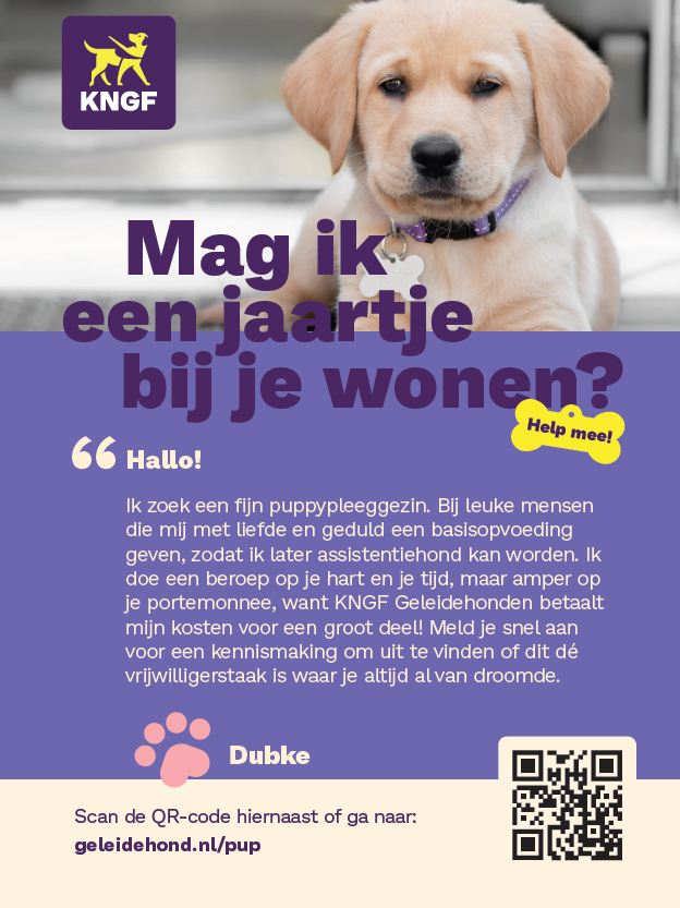 Komend weekend staat KNGF met drie Puppypleeggezinnen op de Hondententoonstelling Maastricht: Standnummer 12. Ben je in de buurt en vind je het leuk om langs te komen, wees welkom!
<a href="/KNGFGeleidehond/">KNGF Geleidehonden</a> #puppypleeggezin #leukstevrijwilligerswerkooit