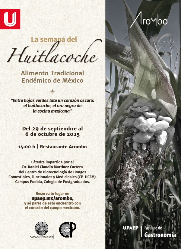 Freddy.bio (@freddybio15) on Twitter photo 