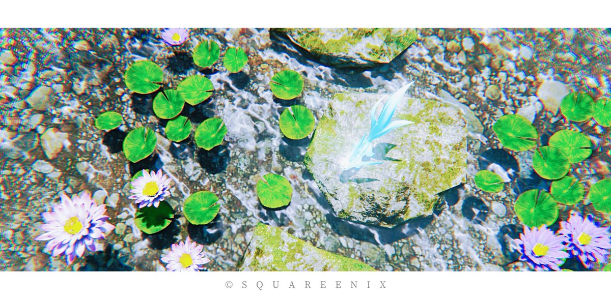 𓂃𓈒𓐍◌𓋪ɢᵒᵒᵈ ɴⁱᵍʰᵗ𓈒𓏸❊◌𓐍𓂃

#FF14風景 
#FF14SS