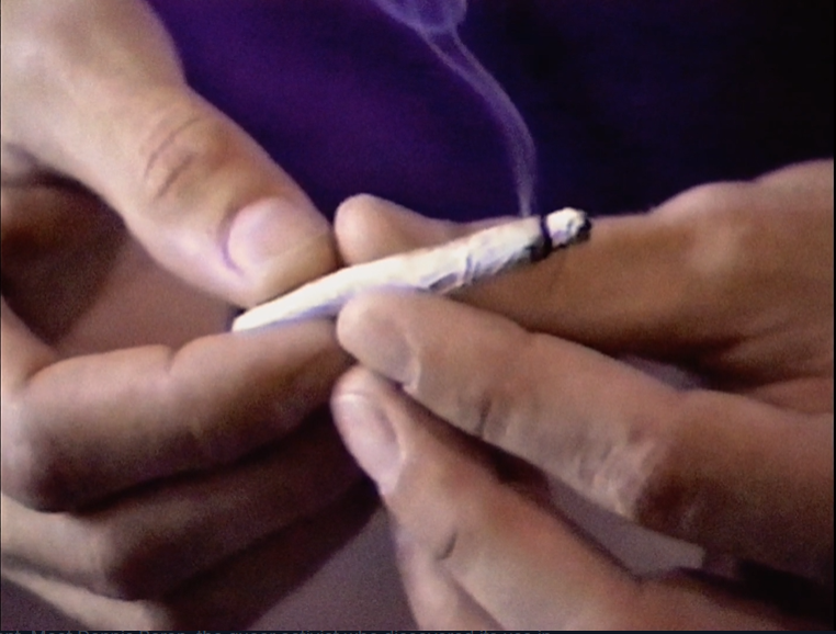 Bushwick Film Festival tweet media