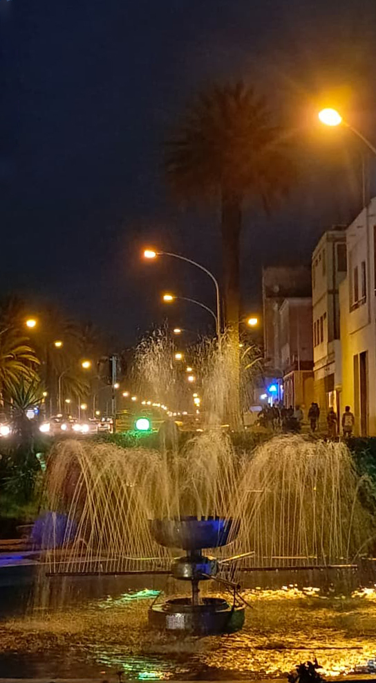 GhideonMusa's tweet photo. Good evening from Asmara City Park 🇪🇷
📸 @KisenTesfay https://t.co/94Nki45X3a