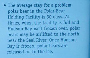 Jake Wilde tweet media