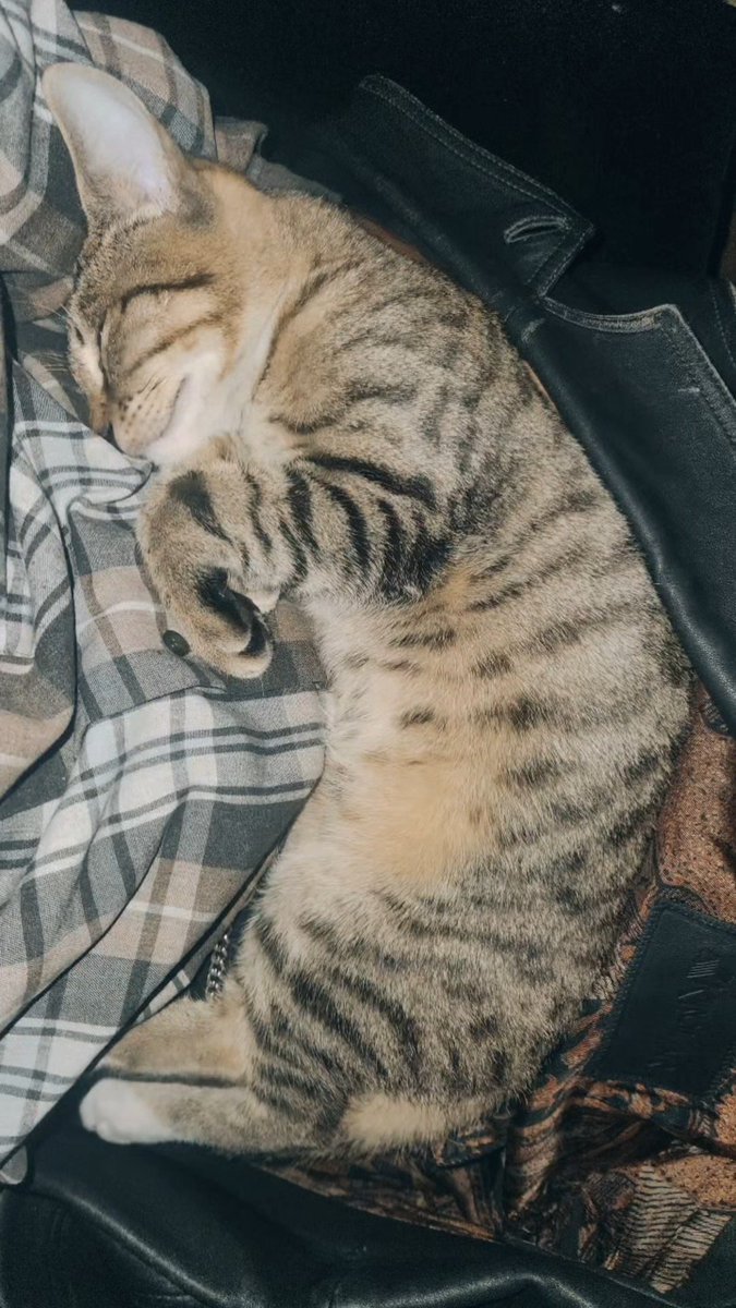 Geldi kucağıma yattı 2 saattir böyleyiz helikopterle alın beni