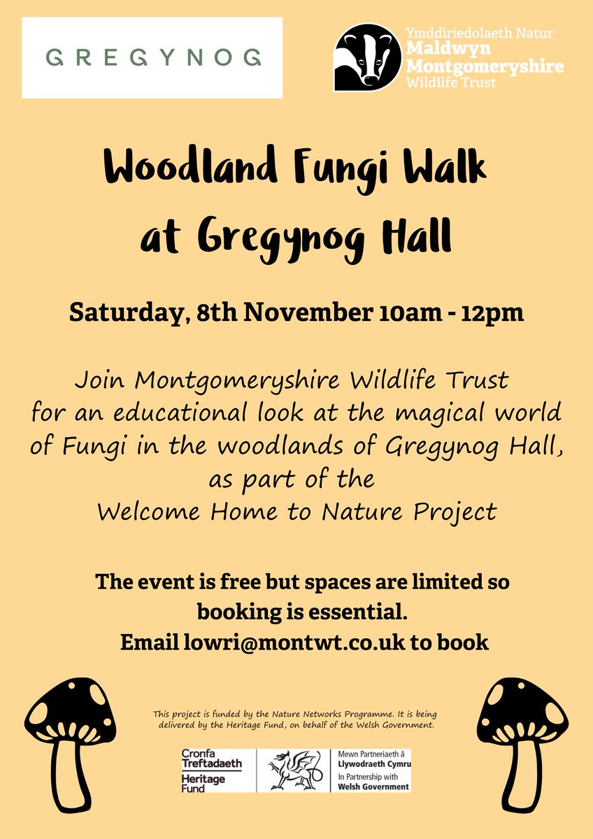 MontWildlife's tweet image. We have another upcoming Fungi event at Gregynog  #NationalNatureReserve, this time a Woodland Fungi Walk 🍄✨

For full details please visit the events page of our website👉montwt.co.uk/events

@welshgovernment @heritagefunduk

#NatureNetwork #RhwydweithiauNatur #Fungi