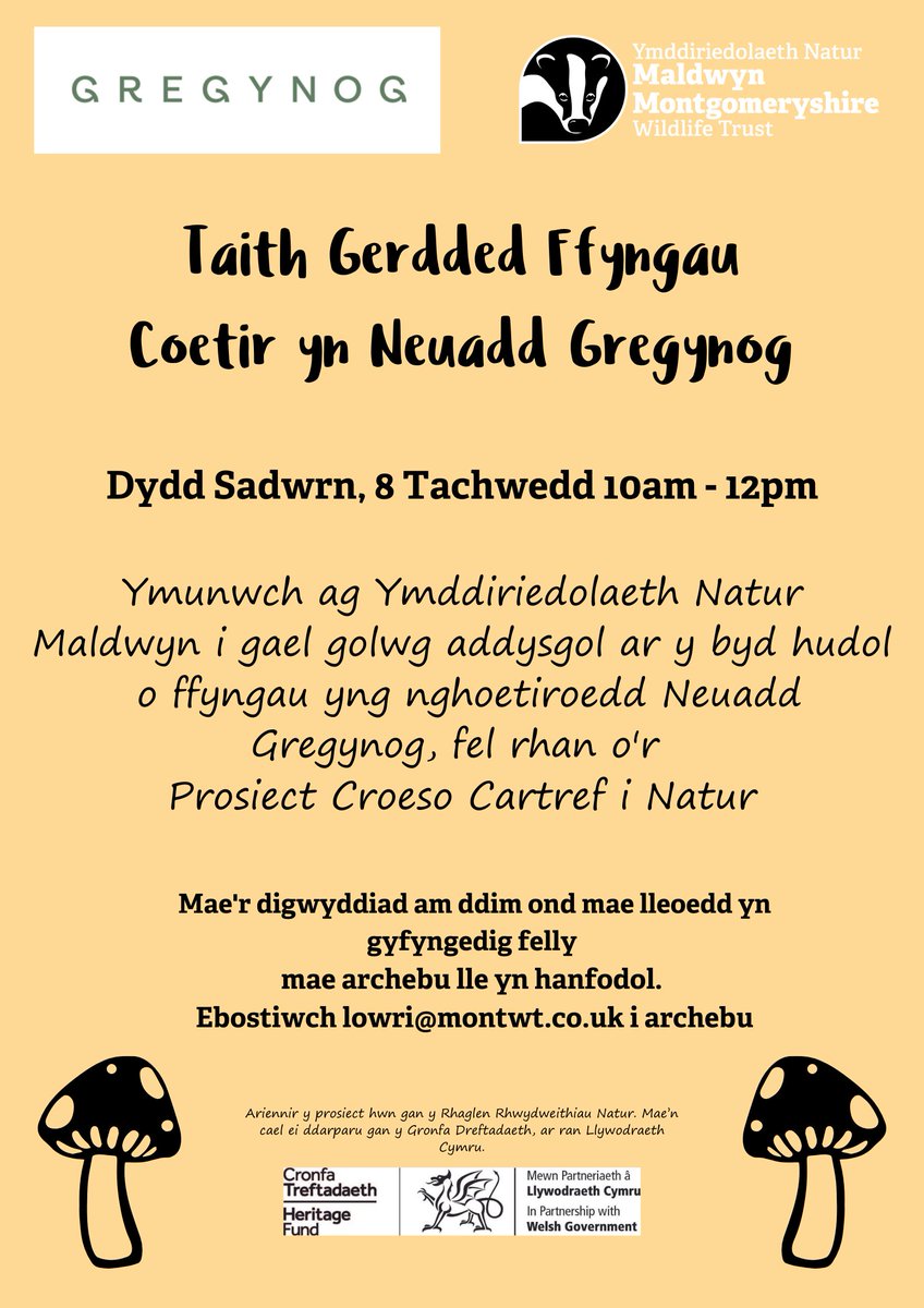 MontWildlife's tweet image. We have another upcoming Fungi event at Gregynog  #NationalNatureReserve, this time a Woodland Fungi Walk 🍄✨

For full details please visit the events page of our website👉montwt.co.uk/events

@welshgovernment @heritagefunduk

#NatureNetwork #RhwydweithiauNatur #Fungi