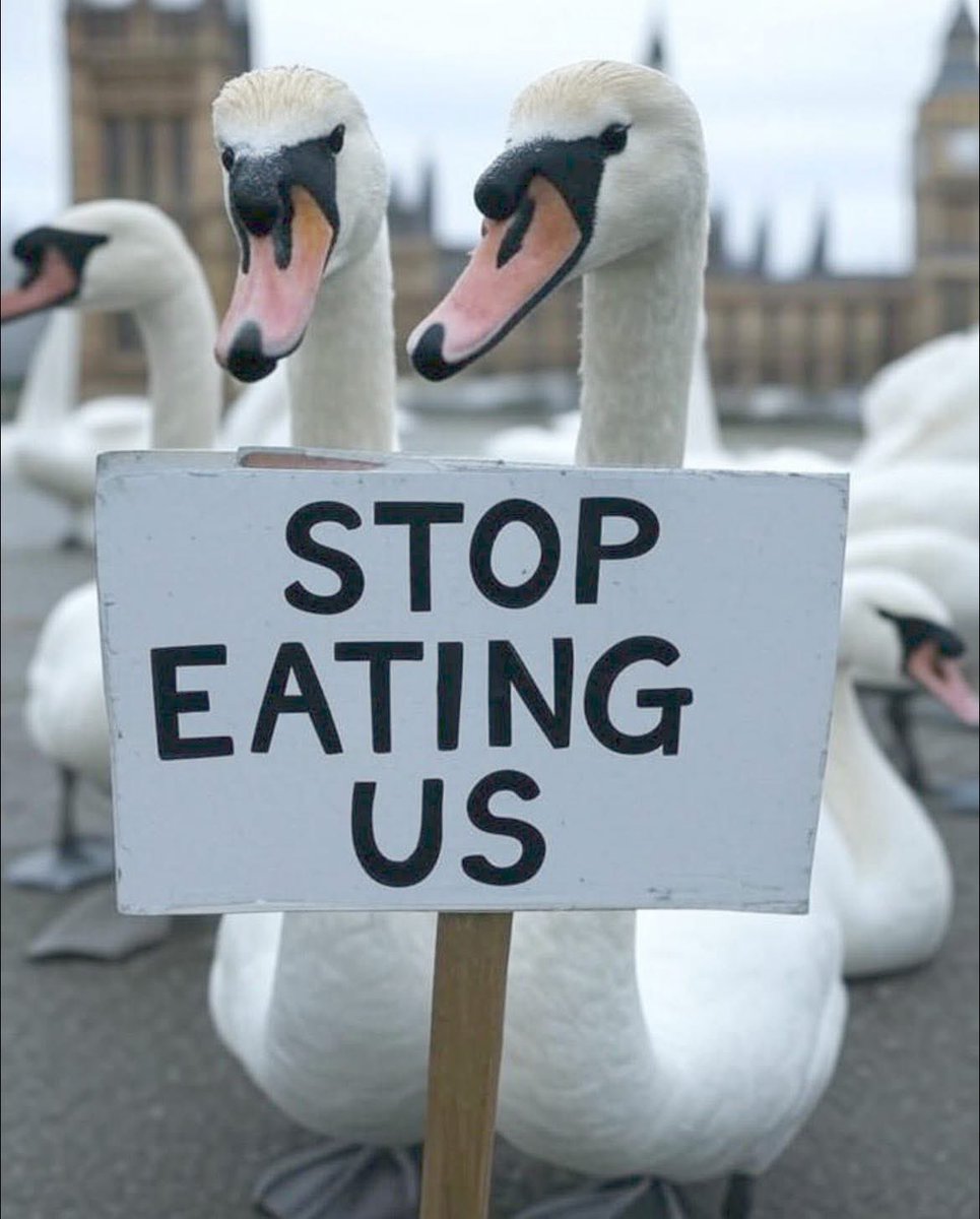 Mrs Slocombe (@pickat33) on Twitter photo 