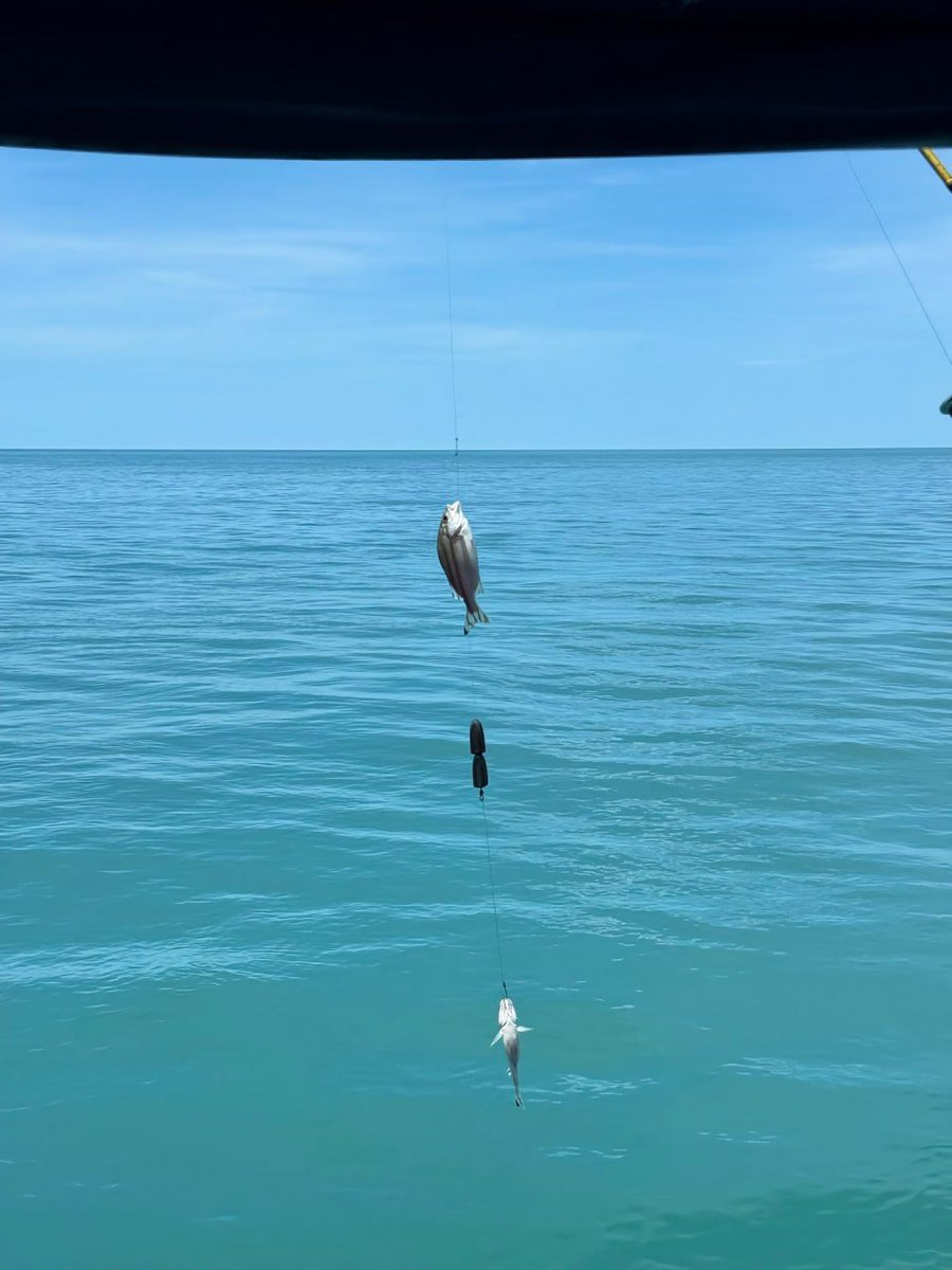 青空の下での釣りは最高！自然とともにリラックスする時間、まさに心の癒し。🎣🌊