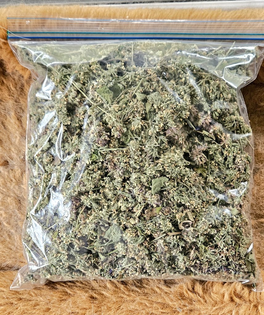 EdFatherOfCats's tweet image. #Nipclub
This years Catnip is ready!