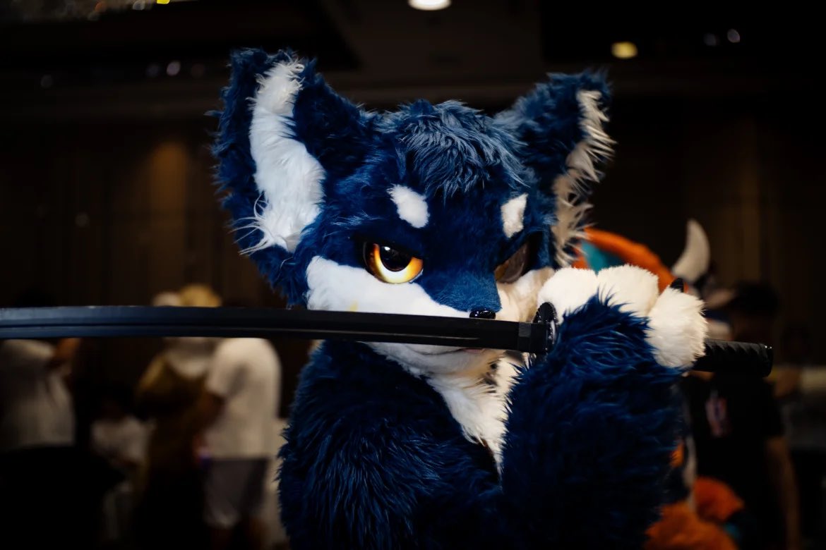 夜深了，狼在寻找他的猎物…
#FursuitFriday