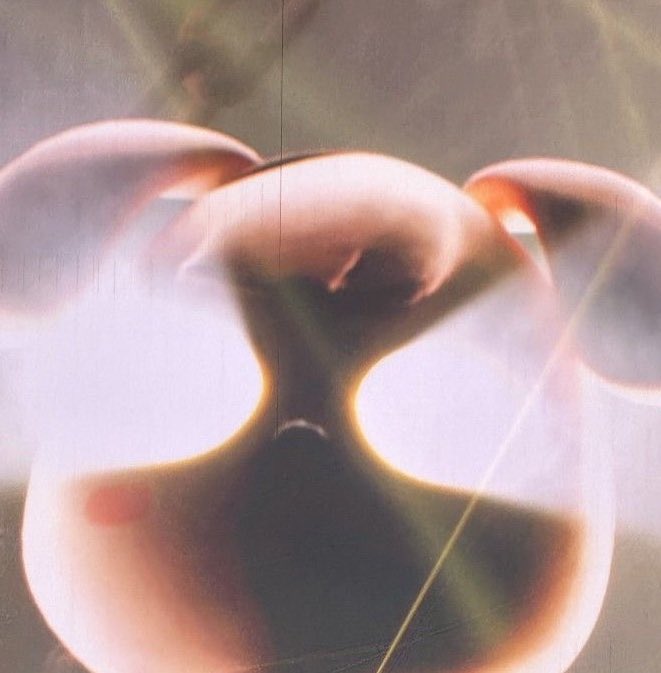 jiniret_ferret's tweet image. i wouldn&apos;t trust him at all