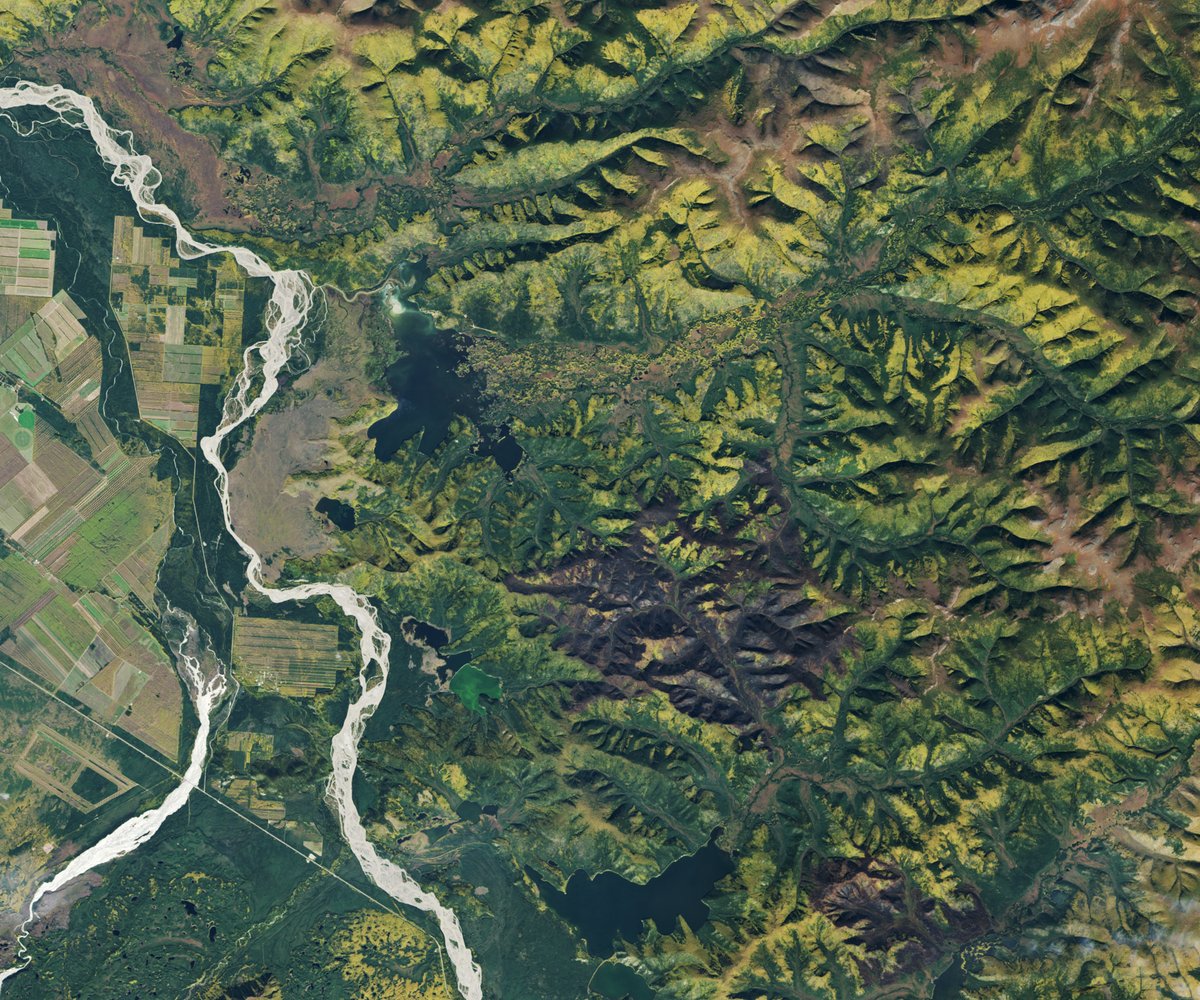 NASAEarth's tweet photo. Gonna be, gonna be golden ✨

Hillsides in interior Alaska are turning yellow with fall foliage, as seen in this Landsat 8 satellite image from September 18, 2025. https://t.co/bx7GqY2vKP https://t.co/rMpZYEgvkk