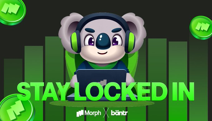 The increasing number of users on traditional blockchains raises transaction congestion and costs, reducing network efficiency. This remains one of the biggest obstacles to the mass adoption of Web3 applications.

<a href="/MorphLayer/">Morph</a> addresses this bottleneck with its zk-rollup