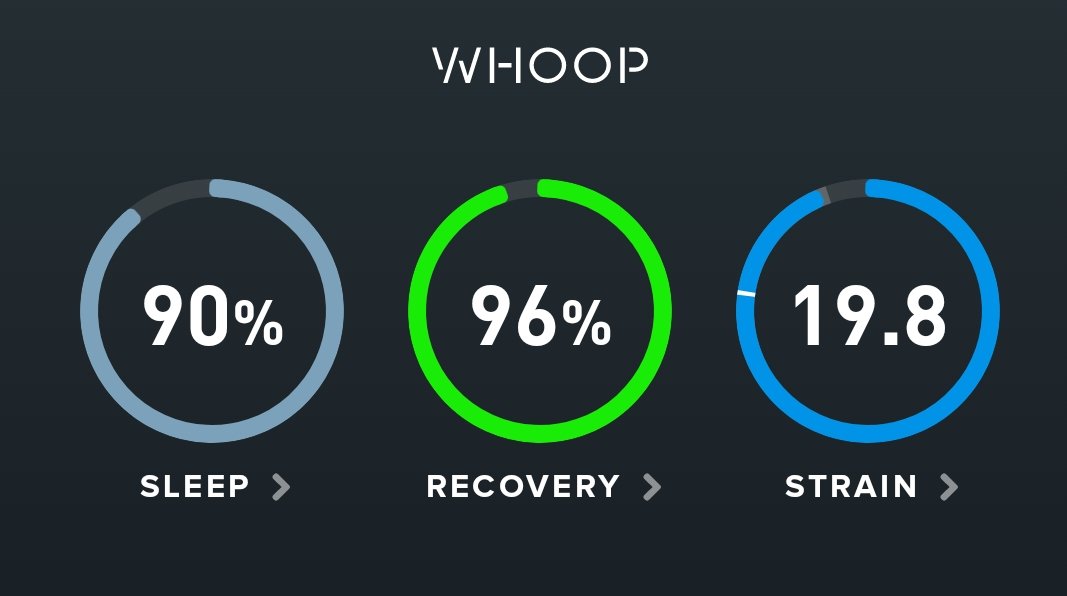 Marcin W. tweet media