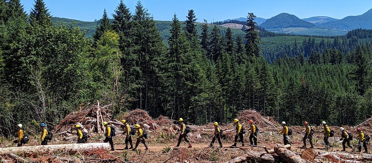 27,000+ participants. 15 exchanges. Countless impacts.
See how the Fire Science Exchange Network is turning science into action in the new StoryMap "A Year of Collaboration."
arcg.is/1fKzWj2