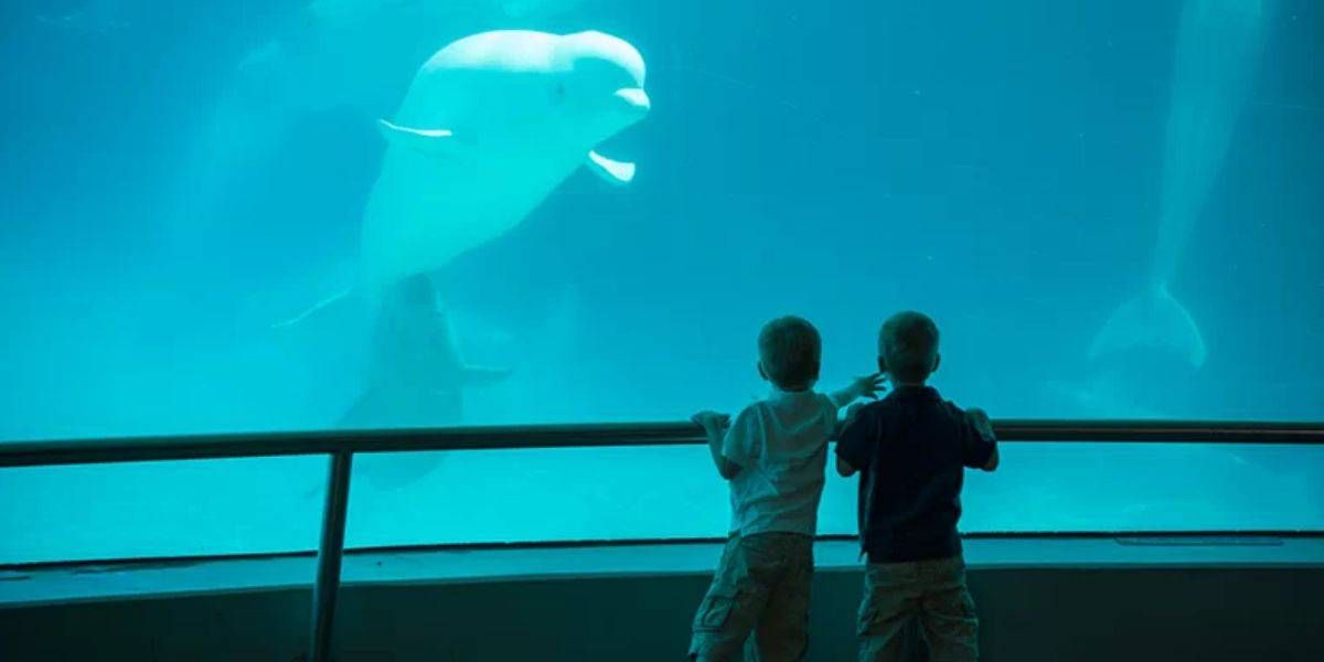 Inside the Magic tweet media