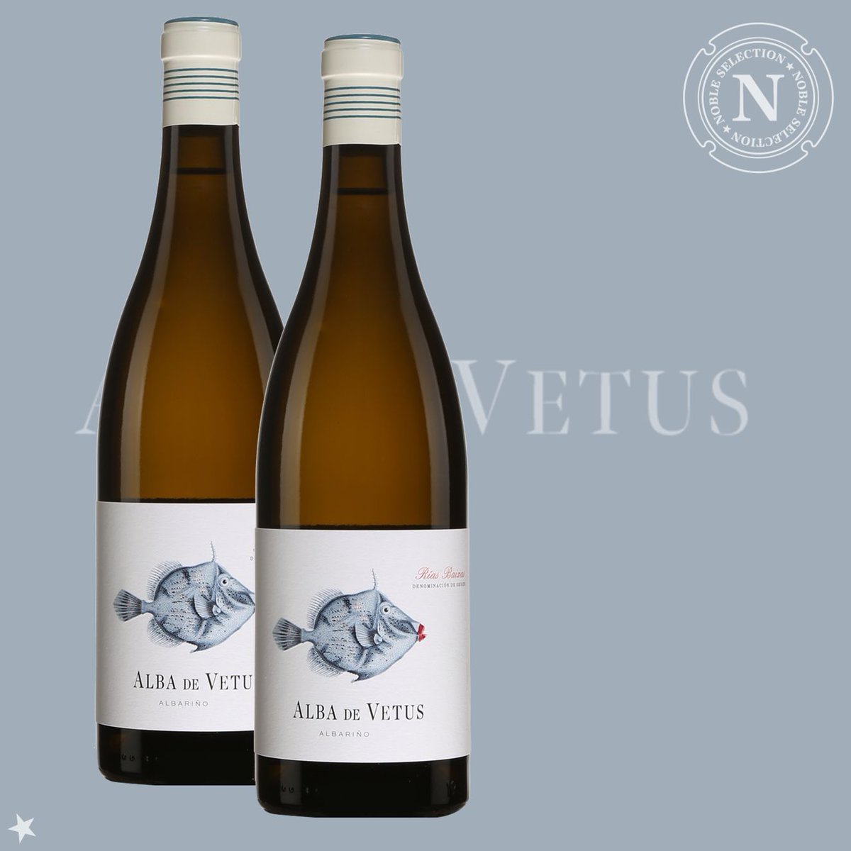 Alba de Vetus Rias Baixas 2024 de <a href="/bodegasvetus/">Bodegas Vetus</a>  : un Albariño vibrant aux arômes d’agrumes, pêche blanche et fleurs, avec une finale saline et minérale. 
Disponible à <a href="/LaSAQ_officiel/">lasaq_officiel</a> (15501326) ici ⟶ saq.com/fr/15501326