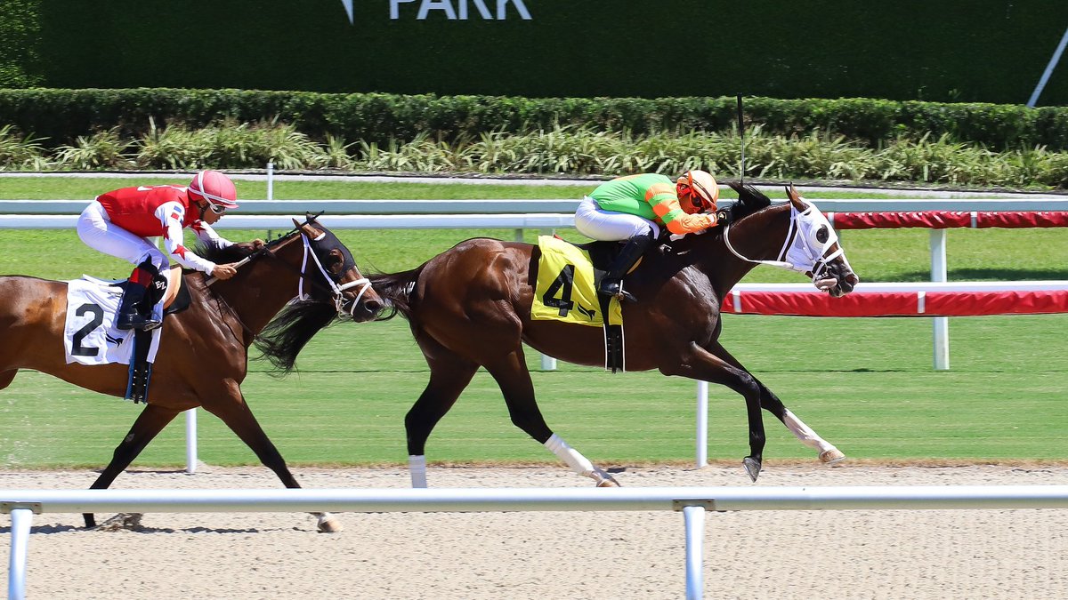 Gulfstream Park (@gulfstreampark) on Twitter photo .<a href="/LLCazares/">Laura Cazares</a>' Wannabeeloved digs in to spring a mild surprise in race 2 under Miguel Vásquez. #GulfstreamPark #SunshineMeet .<a href="/LLCazares/">Laura Cazares</a>' Wannabeeloved digs in to spring a mild surprise in race 2 under Miguel Vásquez. #GulfstreamPark #SunshineMeet