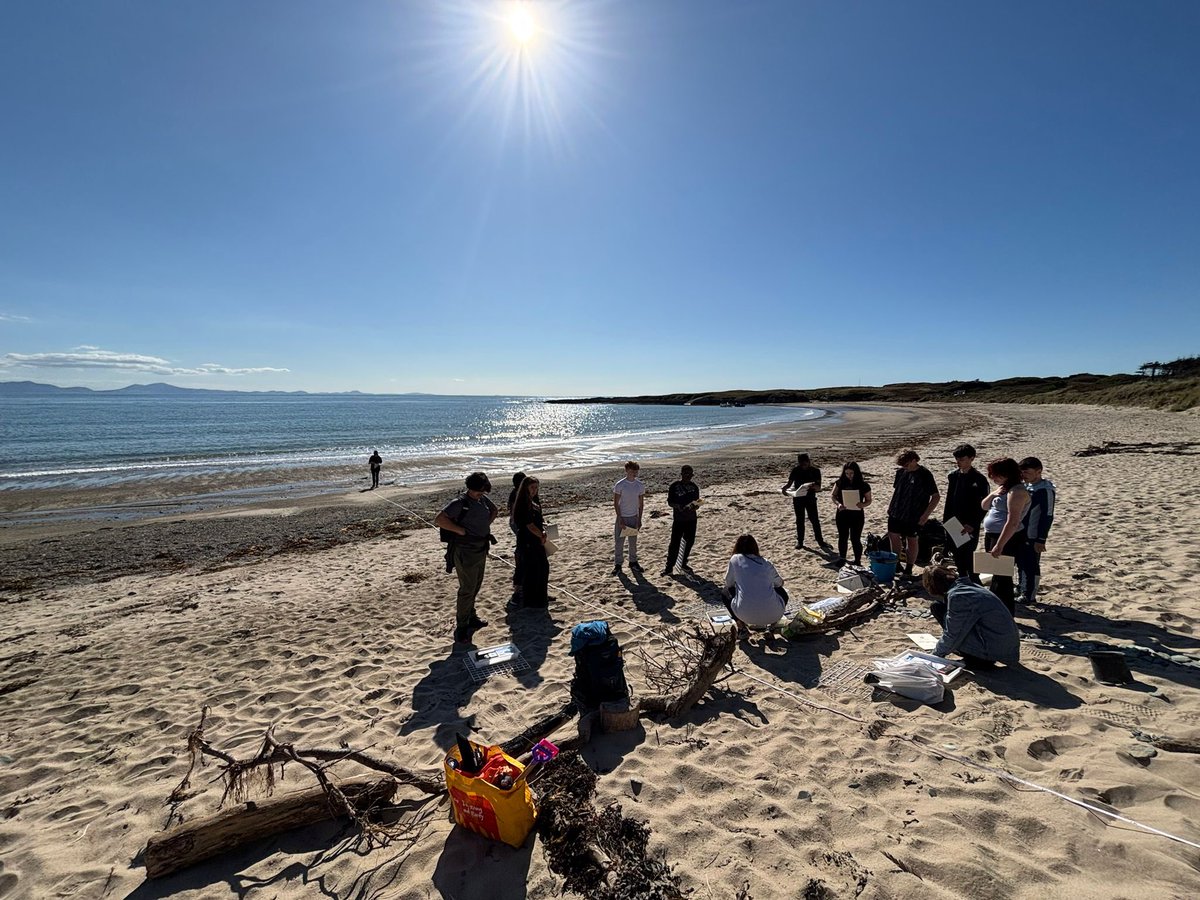 BCAScience tweet media