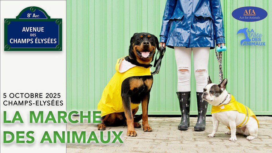 #PARIS Dimanche 5 octobre, rdv rond-point des Champs à 14h30 pour départ à pied à 15h sur les Champs Elysées en direction de l'Arc de Triomphe. Libre, gratuit, pour aimer et aider les animaux et dire non à toute forme de maltraitance, svp RT