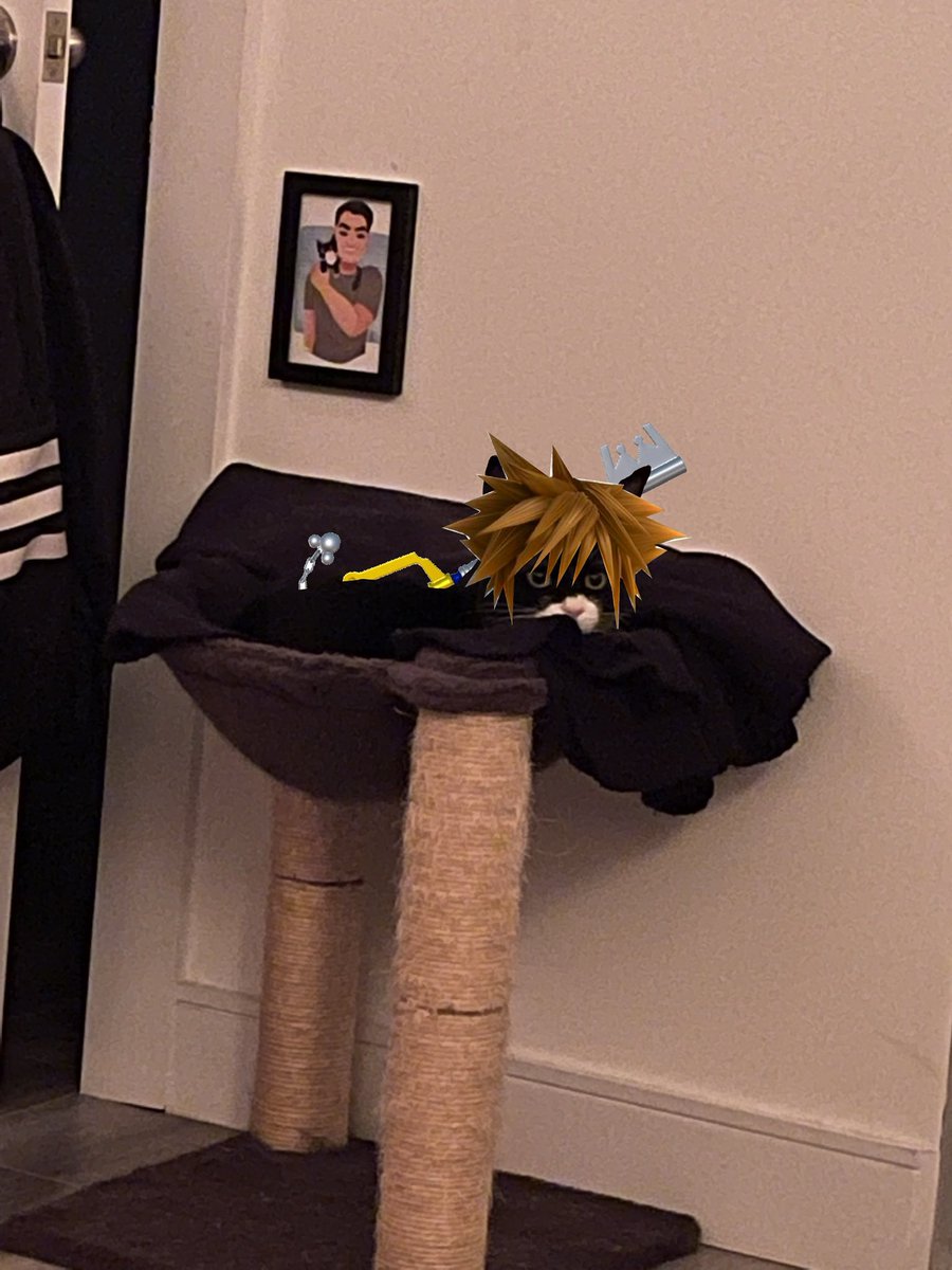 Imafalconn's tweet photo. Oh wow 5K friends! Hi! 👋🏽 My name is Patrick. My kitty is Zuko. Our last name is Falcon. I’m kind of introverted and get social anxiety at times so workouts/selfies are done at home with the cat. Also, go play Kingdom Hearts. https://t.co/JBFN4K6KtM
