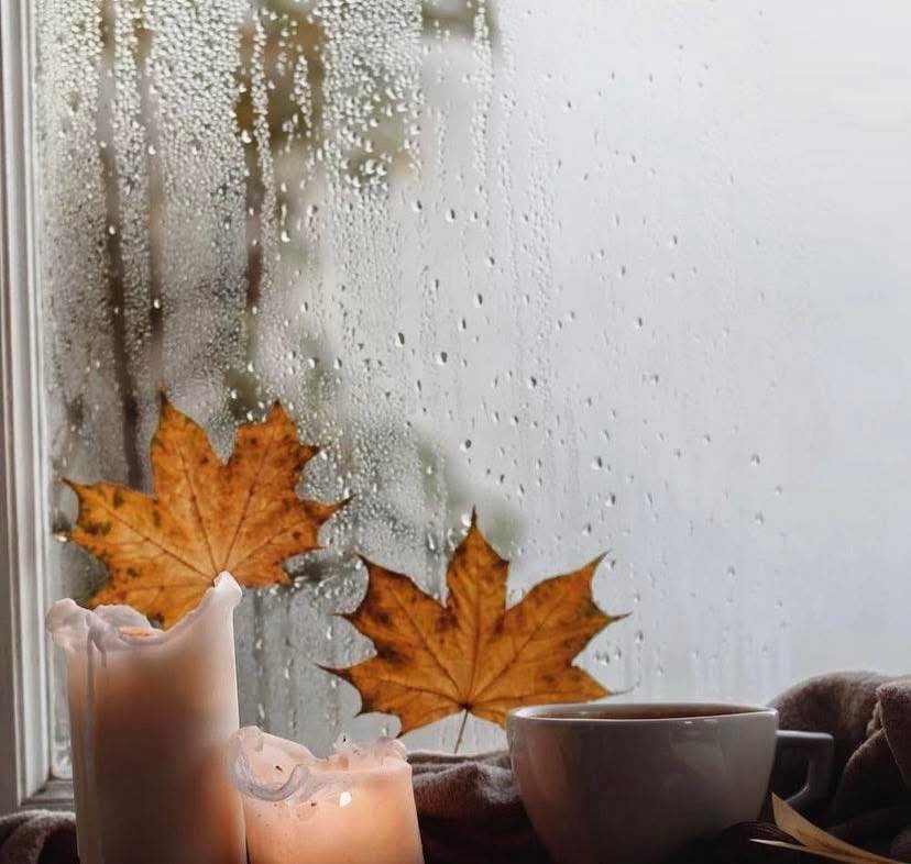 “Each new autumn is closer to the last autumn we'll have, and the same is true of spring or summer; but autumn, by its nature, reminds us that all things will end, which is something we're apt to forget when we look around us in spring or summer.”

— Fernando Pessoa