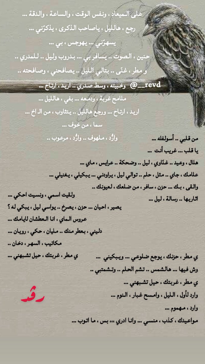 رڤــد' tweet media