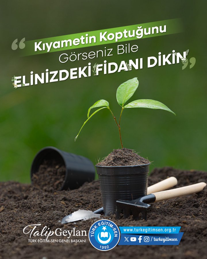 A small green plant in a black pot with soil, placed on the ground. A black gardening trowel and wooden handle tools lie beside the pot. The text "Kıyametin Kopacağını Görseniz Bile Elinizdeki Fidanı Dik" and "Talip Geylan Eğitim Sen Başkanı" is visible.
