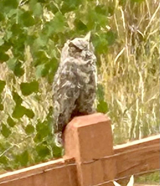 Enjoying the fall … and wildlife