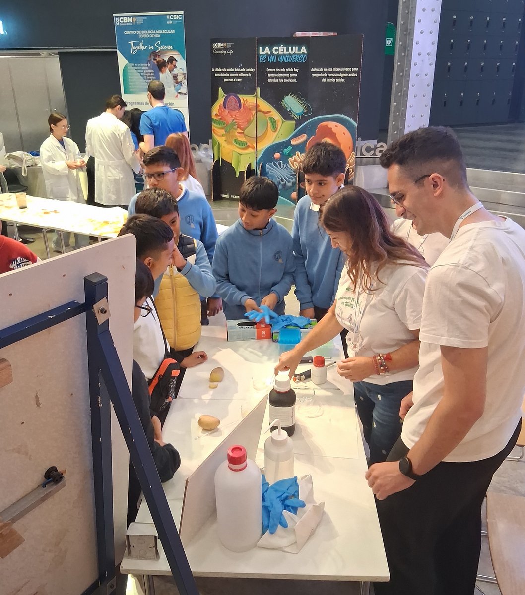 ICP_CSIC's tweet photo. Nuestro instituto participa en la #NocheEuropeaInvestigadores junto a los otros 9 centros @CSIC del campus @UAM_Madrid
Talleres, juegos de catalizadores, hidrógeno, tabla periódica, enzimas, pila de combustible etc. en el @EspacioFTef
Coordinado por el @icmm_csic
@madrimasd https://t.co/Eqbg2qaFc8