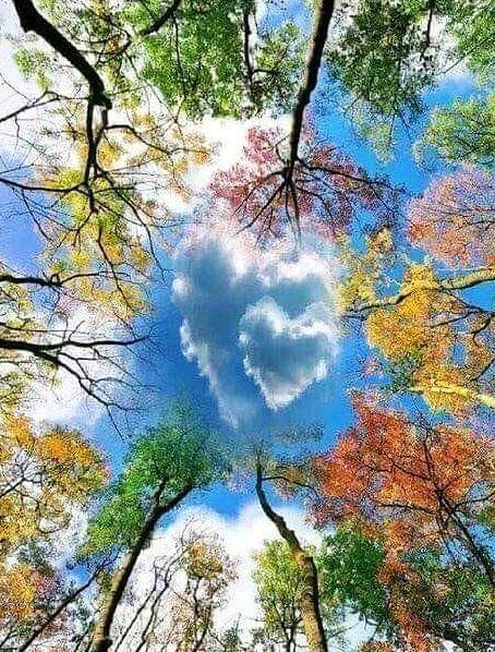 Lucha_kansya's tweet image. 開運ゴールドルーシャへ                        

先に富の分配を感謝する。    

画像を8秒見つめ、  即リツイート後、         

希望の金額を書く