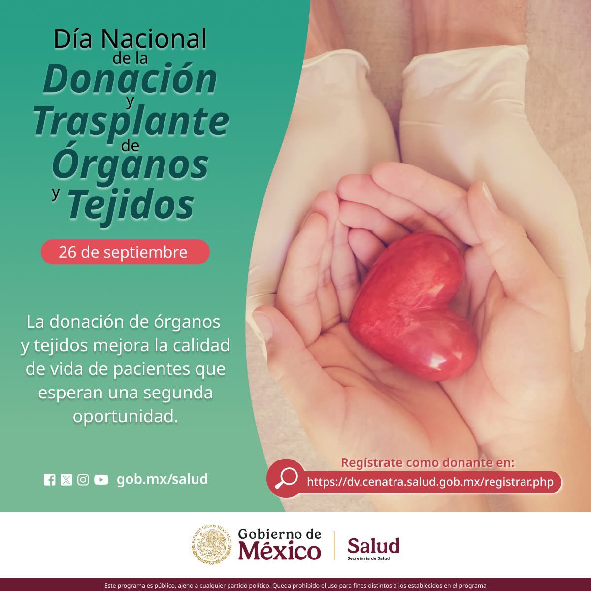 SSM_Morelos's tweet image. 26 de septiembre | Día Nacional de la #Donación y #Trasplante de #Órganos y #Tejidos 🫁 🫀

Un donante puede salvar hasta 7 vidas y mejorar la calidad de muchas más. 🤲🏼❤️

Habla con tu familia sobre tu decisión de ser donante y regístrate como donador ➡ dv.cenatra.salud.gob.mx/registrar.php