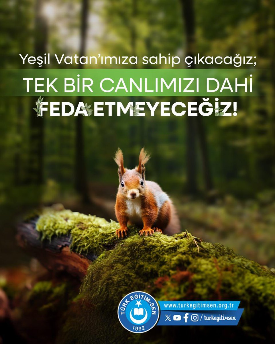 #YeşilVatanİçinElele                    “Vatan Sana Canım Feda”