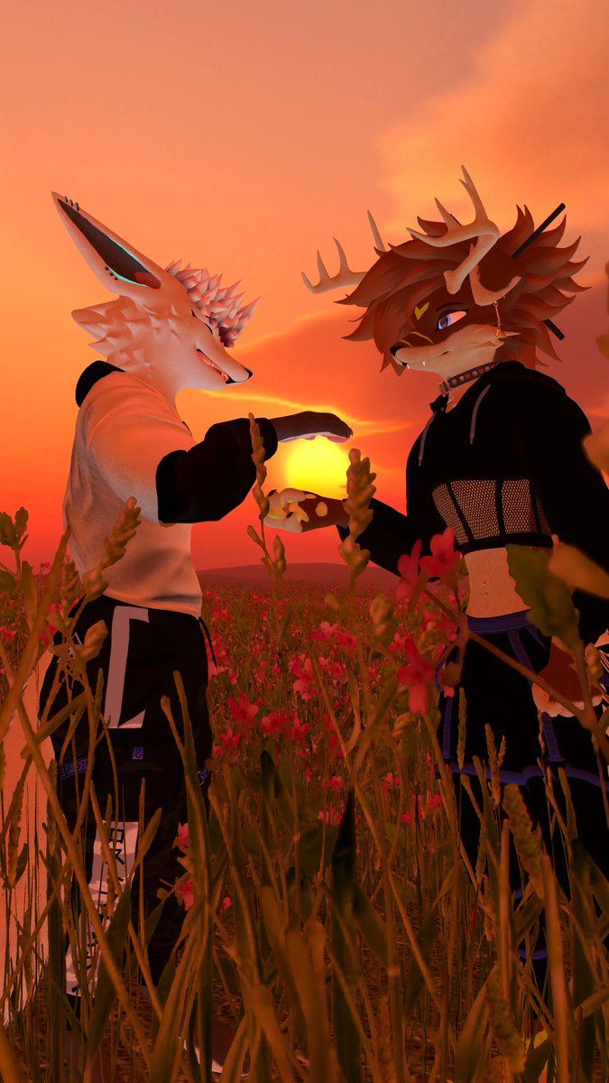 Yuru 🔜 NFC tweet media